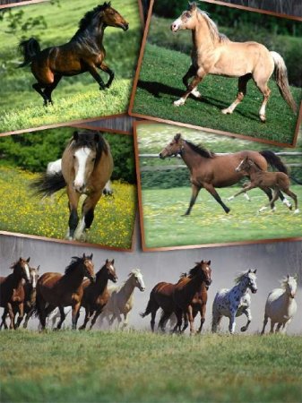 ���������� ���� � ������ (�������� ����� ������)