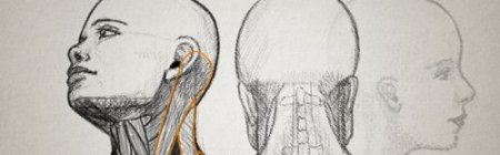 DigitalTutors - Danielle Iyer-Drawing the Human Head