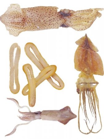 ��������: �������� ����� � �������