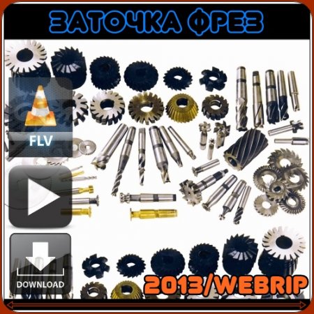 ������� ���� (2013/WEBRip) FLV