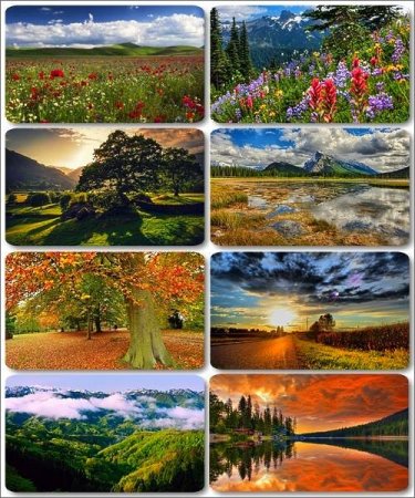 ���� ����������� ������� - ���� �������