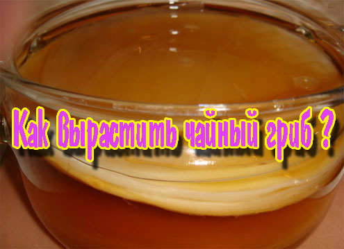 ��� ��������� ������ ���� (2013) DVDRip