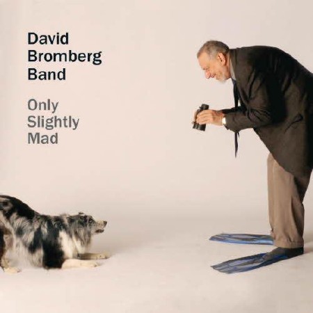 David Bromberg Band - Only Slightly Mad  (2013)