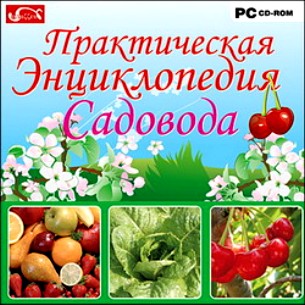 ������������ ������������ ��������