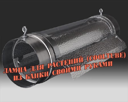 ����� ��� �������� (Cooltube) �� ����� ������ ������ (2013) DVDRip