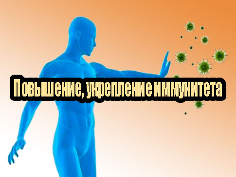 ���������, ���������� ���������� (2013) DVDRip