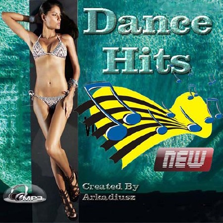 VA - Dance Hits Vol.306  (2013)