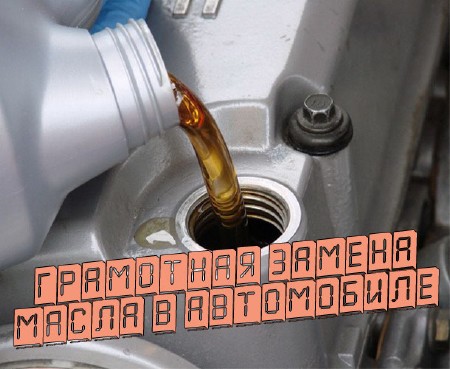 ��������� ������ ����� � ���������� (2013) DVDRip