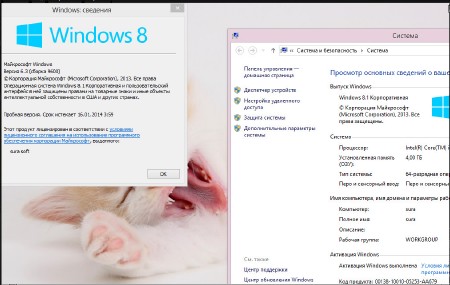 Windows 8.1 Enterprise RTM 9600 Final SURA SOFT (x86/x64/2013/RUS)   