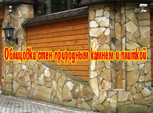 ��������� ���� ��������� ������ � ������� (2013) DVDRip