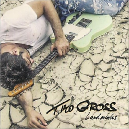 Timo Gross - Landmarks  (2013)