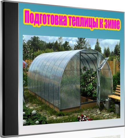 ���������� ������� � ���� (2013) DVDRip