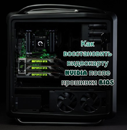 ��� ������������ ���������� NVIDIA ����� �������� BIOS (2013)