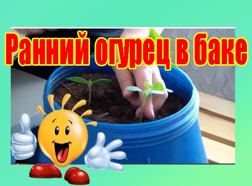 ������ ������ � ���� (2013) DVDRip