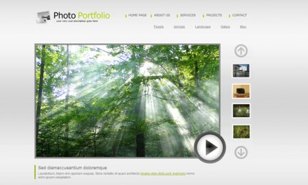 Dreamteamplate 5845 Art & Photography Template (Flash)