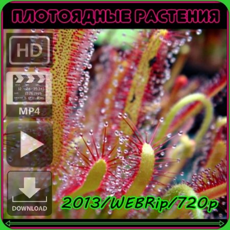 ��������. ���������� �������� (2013) WEBRip