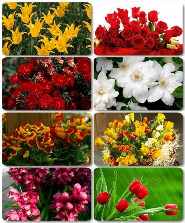 ��������� ���� - ������� ���� ������ (����� 3)