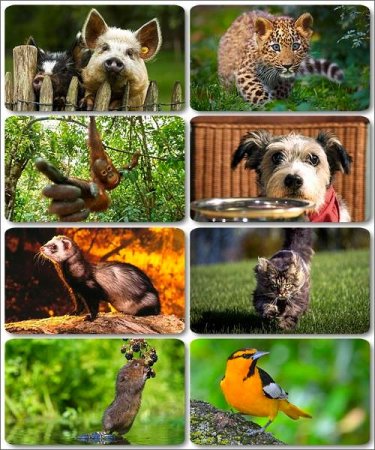 �������� �������� - ��������� ���� ����� (����� 2)