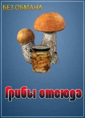 ��� ������ - ����� ������ (14.10.2013) SATRip