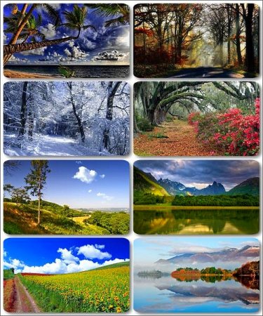 ���� ����������� ������� - ���� ������� (������ 4)