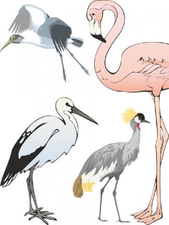 �����, ����� � �������� � �������