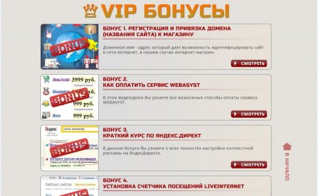 WebAsyst �� � �� �. ��� ������� ��������-������� ��� ���������� �������� (2013) ����������