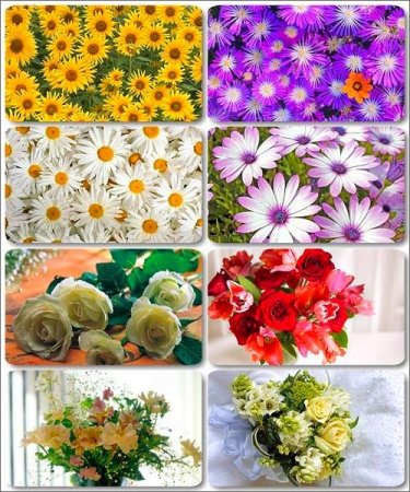 ��������� ���� - ������� ���� ������ (����� 7)