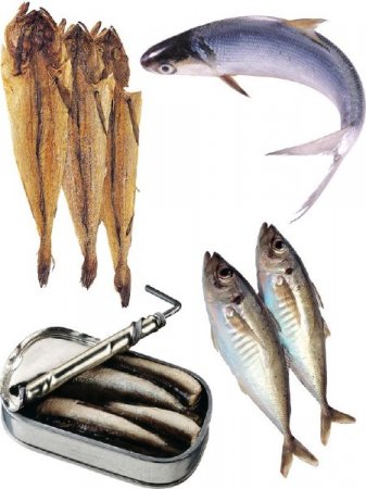 ���� ������������, �����, ������� � �������