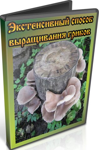 ������������ ������ ����������� ������ (2013) DVDRip