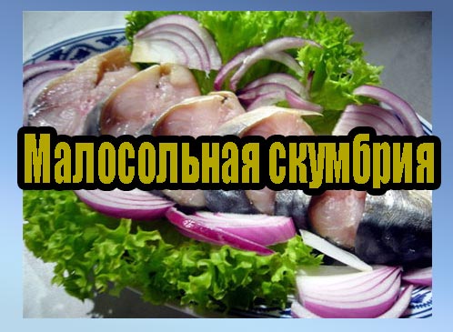 ����������� �������� (2013) DVDRip