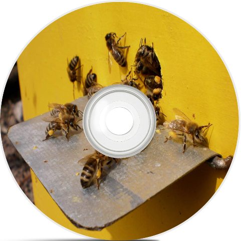 ��������� ���� (2013) DVDRip