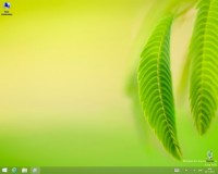 Windows 8.1 Enterprise Final + Token Activator October2013 (x86/RUS/ENG)