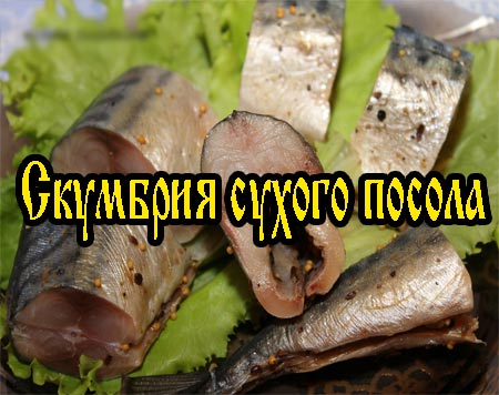 �������� ������ ������ (2013) DVDRip