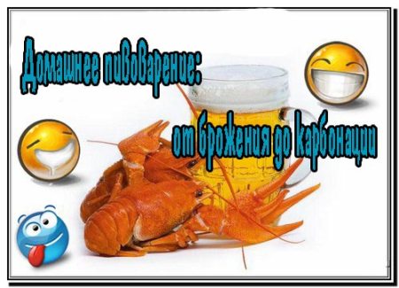 �������� �����������: �� �������� �� ���������� (2013) DVDRip