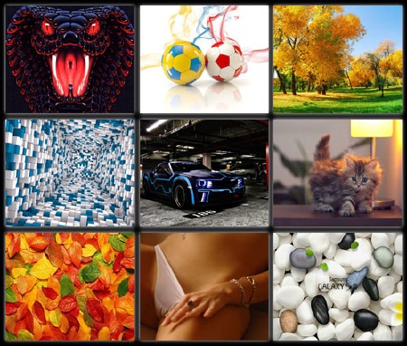 ����� �������� 960x800 ��� Android