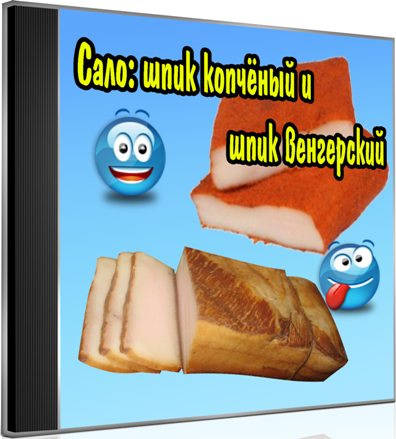 ����: ���� �������� � ���� ���������� (2013) DVDRip