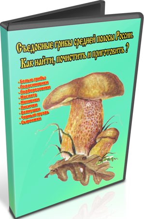 ��������� ����� ������� ������ ������. ��� �����, ��������� � ����������� (2013) DVDRip