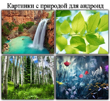 �������� � �������� ��� ������� (960x800)