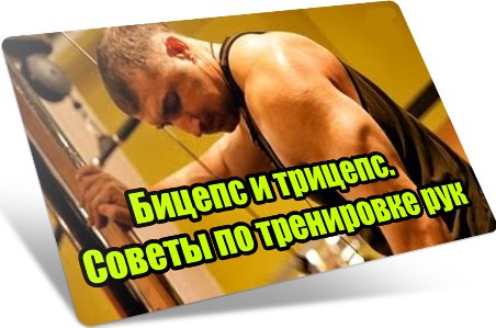 ������ � �������. ������ �� ���������� ��� (2013) DVDRip