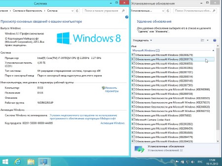 Windows 8.1 Professional x64 Lightweight v.1.13 by Ducazen (RUS/2013)