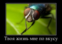����� ���������� ������������ ���! (2013)