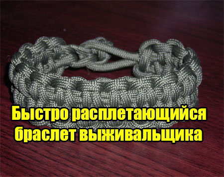 ������ �������������� ������� ������������ (2013) DVDRip