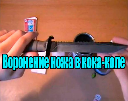 ��������� ���� � ����-���� (2013) DVDRip