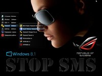 Windows 8.1 Professional x86/x64 6.3 9600 v.0.4.1/v.0.4.2/v.0.5.1  PROGMATRON (2013/RUS)