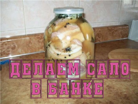 ������ ���� � ����� (2013) DVDRip 