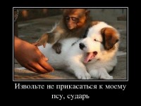 ���������� ������������ �� ������� (2013)