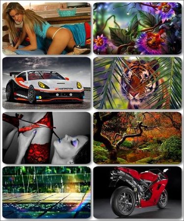 Mix HQ ����� �������� ����� - 250 ������ ��������