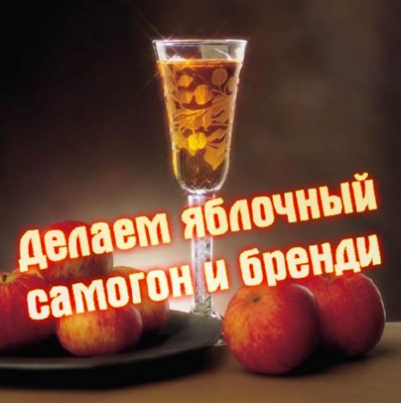 ������ �������� ������� � ������ (2013) DVDRip 