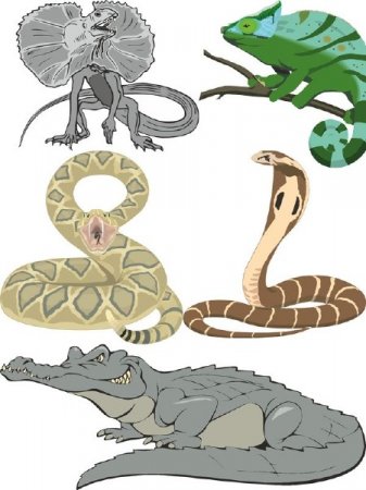 �������� � �������: ��������, ����, ��������, ������� � ������