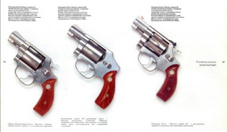 ���������� � ��������� ���� (2006/PDF)